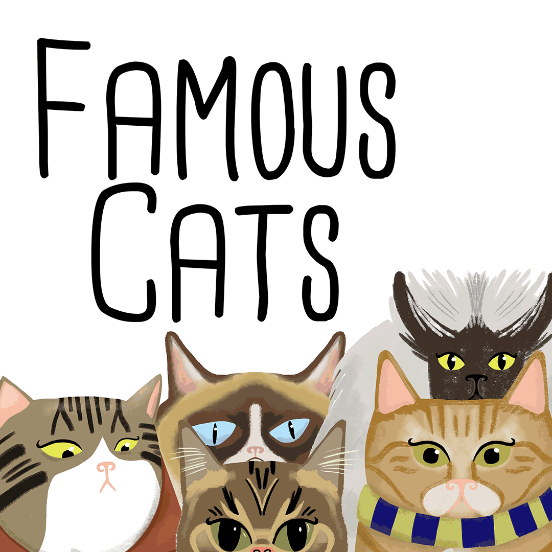 Famous Cats: Maru, Lil Bub, A Street Cat named Bob, Colonel Meow, Grumpy Cat